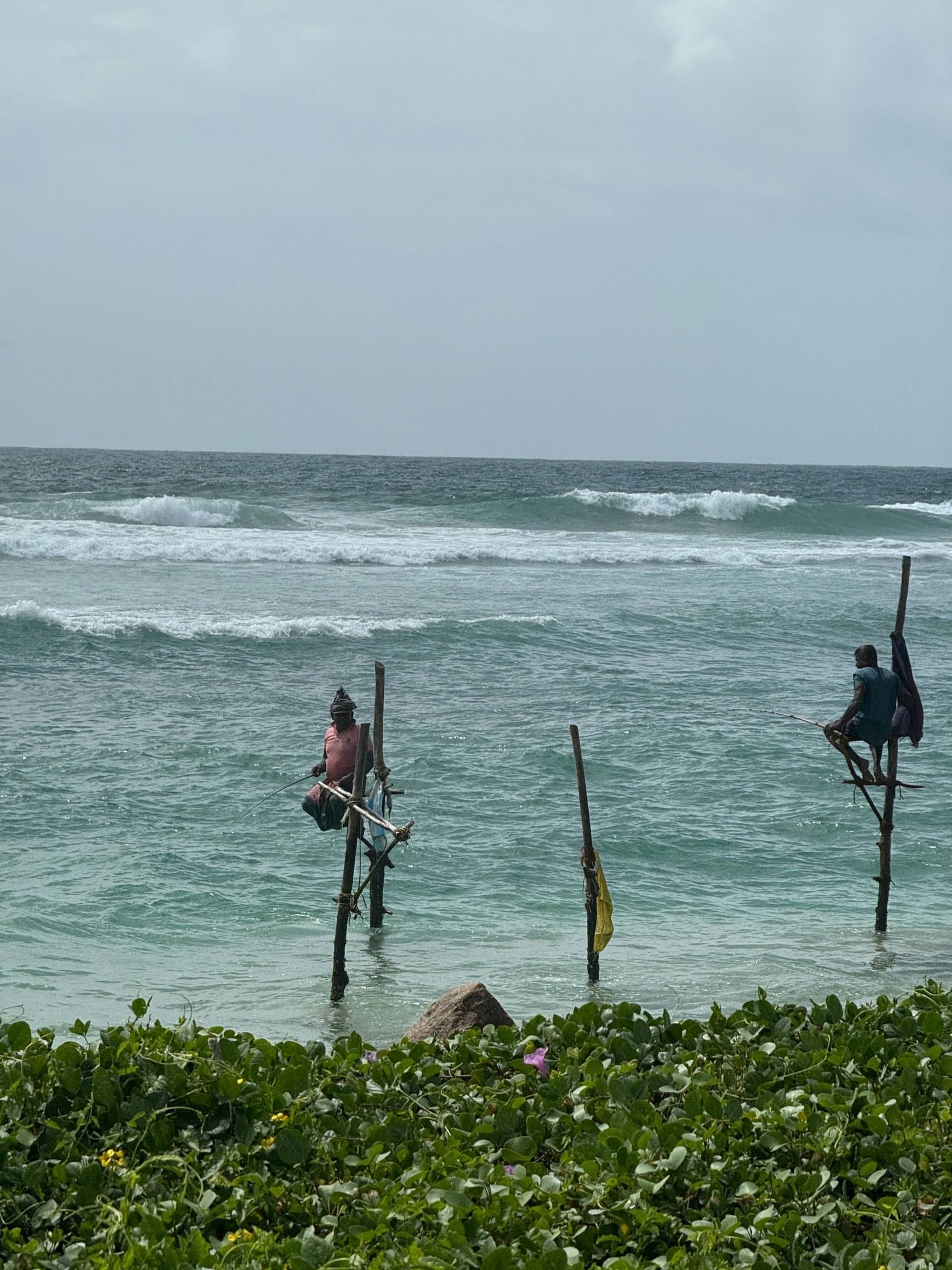 Traditional stilt fishermen balanced on wooden poles in the surf of Sri Lanka’s southern coast